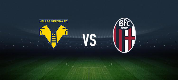 团队协作与 团队协作与